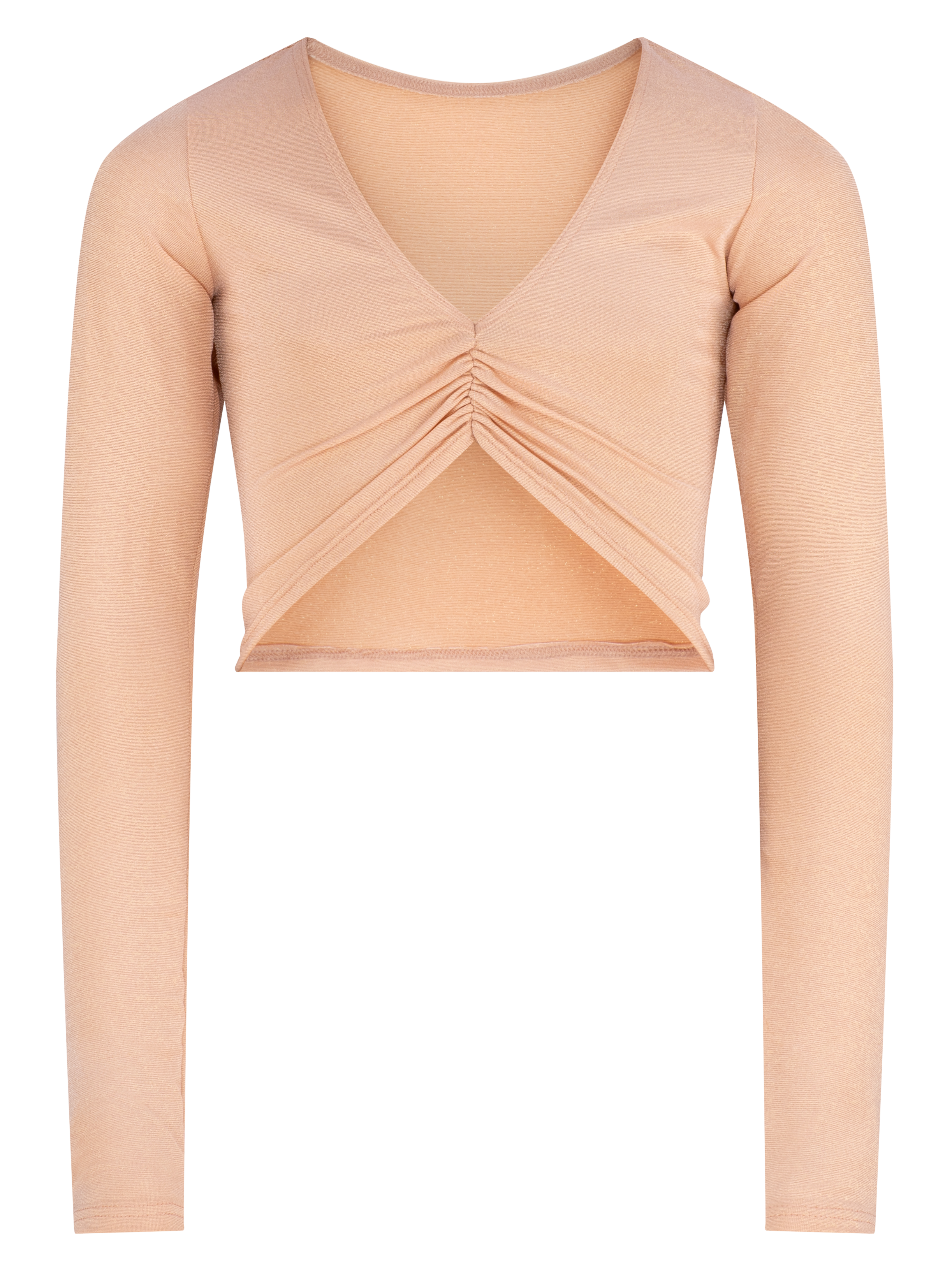 Shimmer Long Sleeved Crop Top