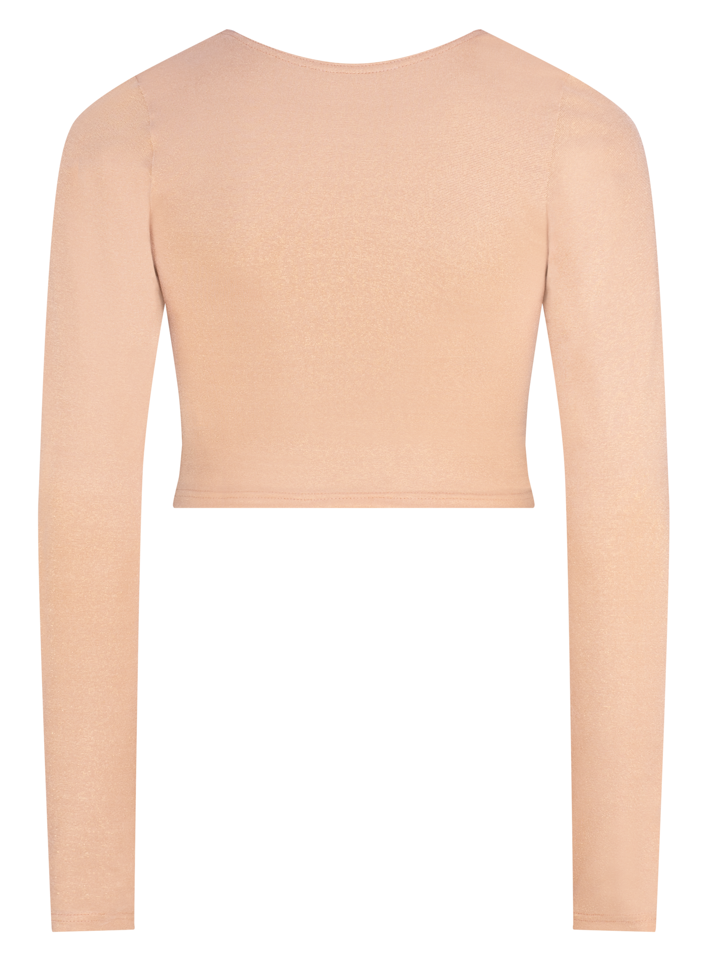 Shimmer Long Sleeved Crop Top